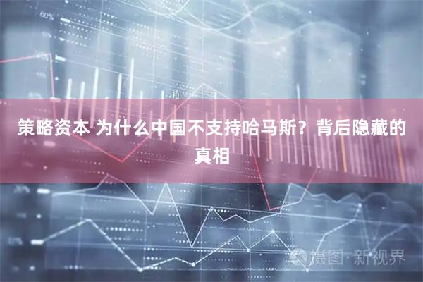 策略资本 为什么中国不支持哈马斯?背后隐藏的真相