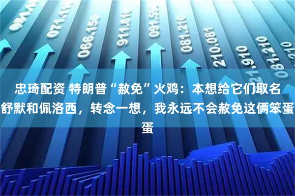 忠琦配资 特朗普“赦免”火鸡:本想给它们取名舒默和佩洛西,转念一想,我永远不会赦免这俩笨蛋