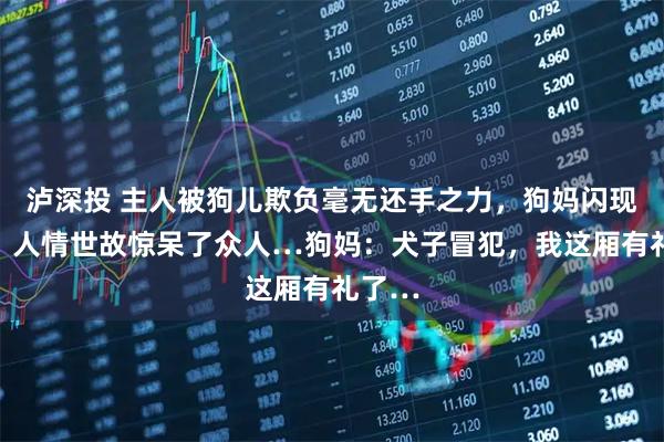 泸深投 主人被狗儿欺负毫无还手之力,狗妈闪现撑腰,人情世故惊呆了众人…狗妈:犬子冒犯,我这厢有礼了…