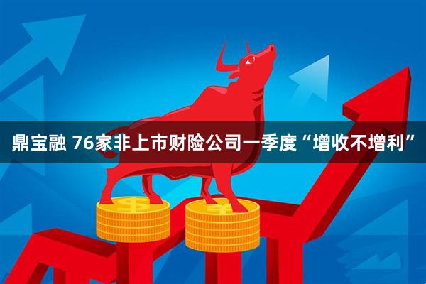 鼎宝融 76家非上市财险公司一季度“增收不增利”